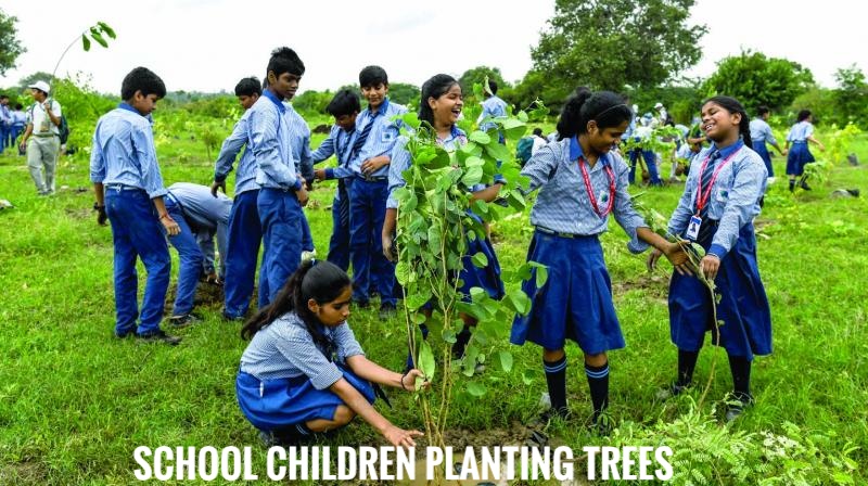 childrern planting tree saplings